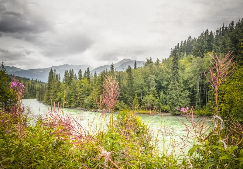 Rio Montanhas Rochosas Canadenses
