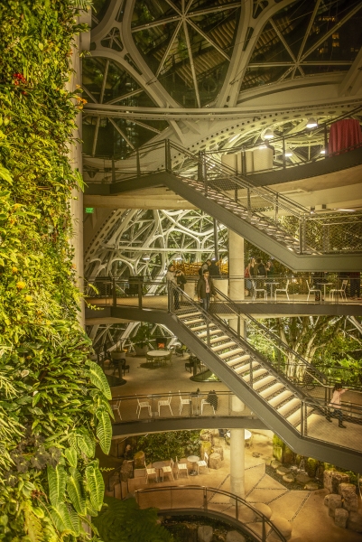 Amazon Espheres interior