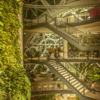 Amazon Espheres interior